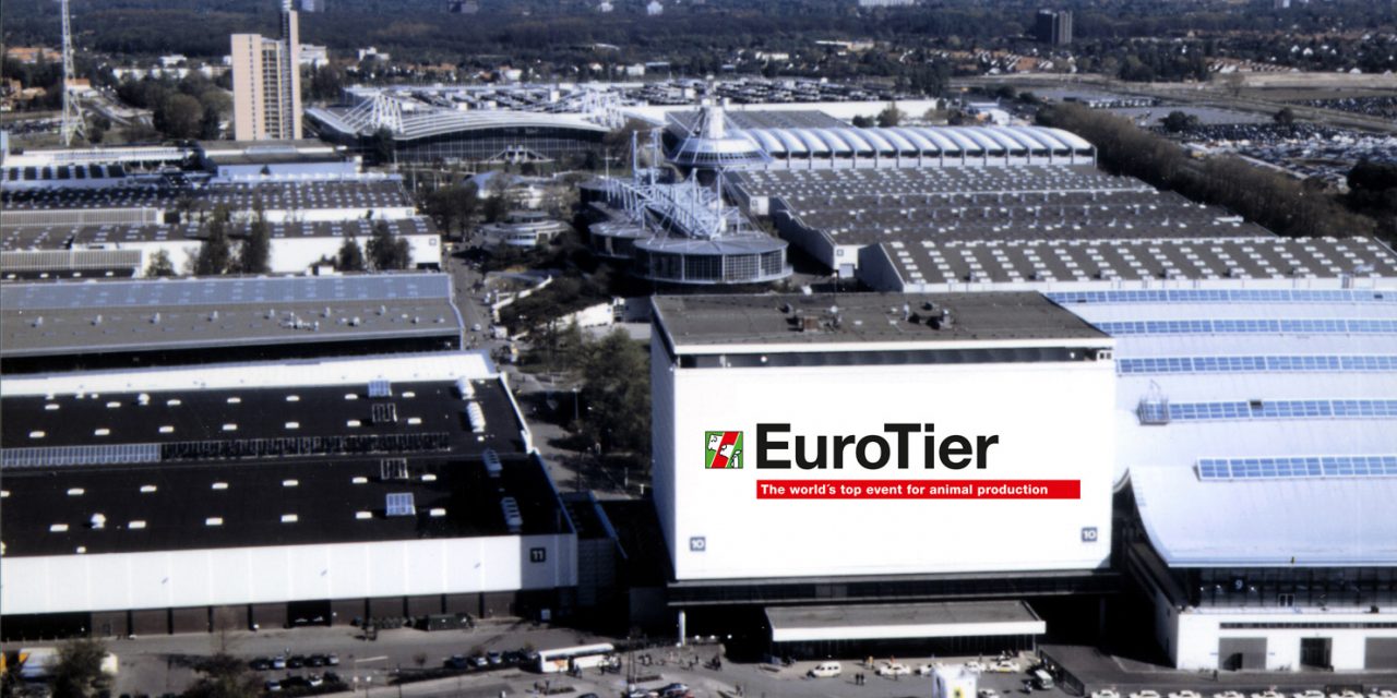 Norkem announce EuroTier 2016 results
