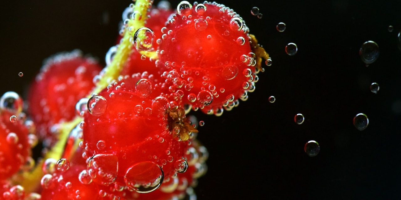 FOODAGRO AFRICA 2018